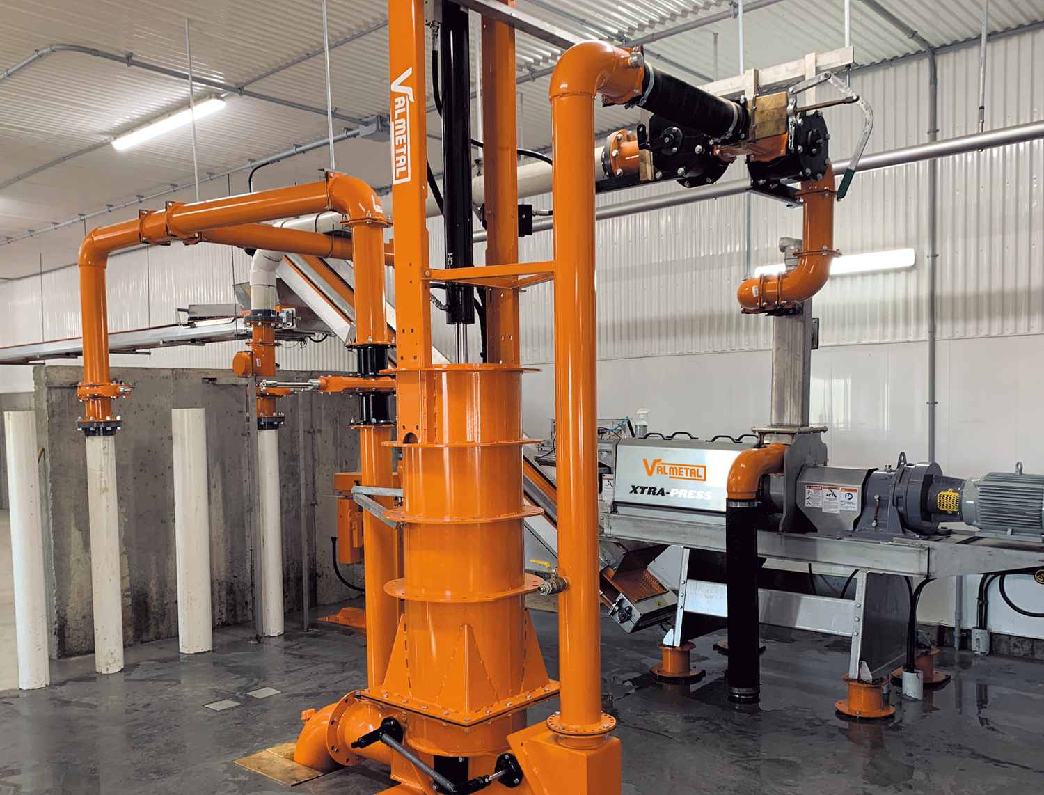 The strength of orange