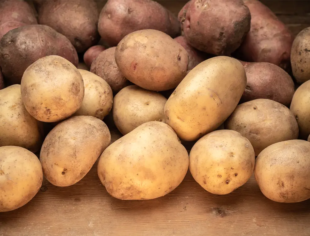 Vegetable crops