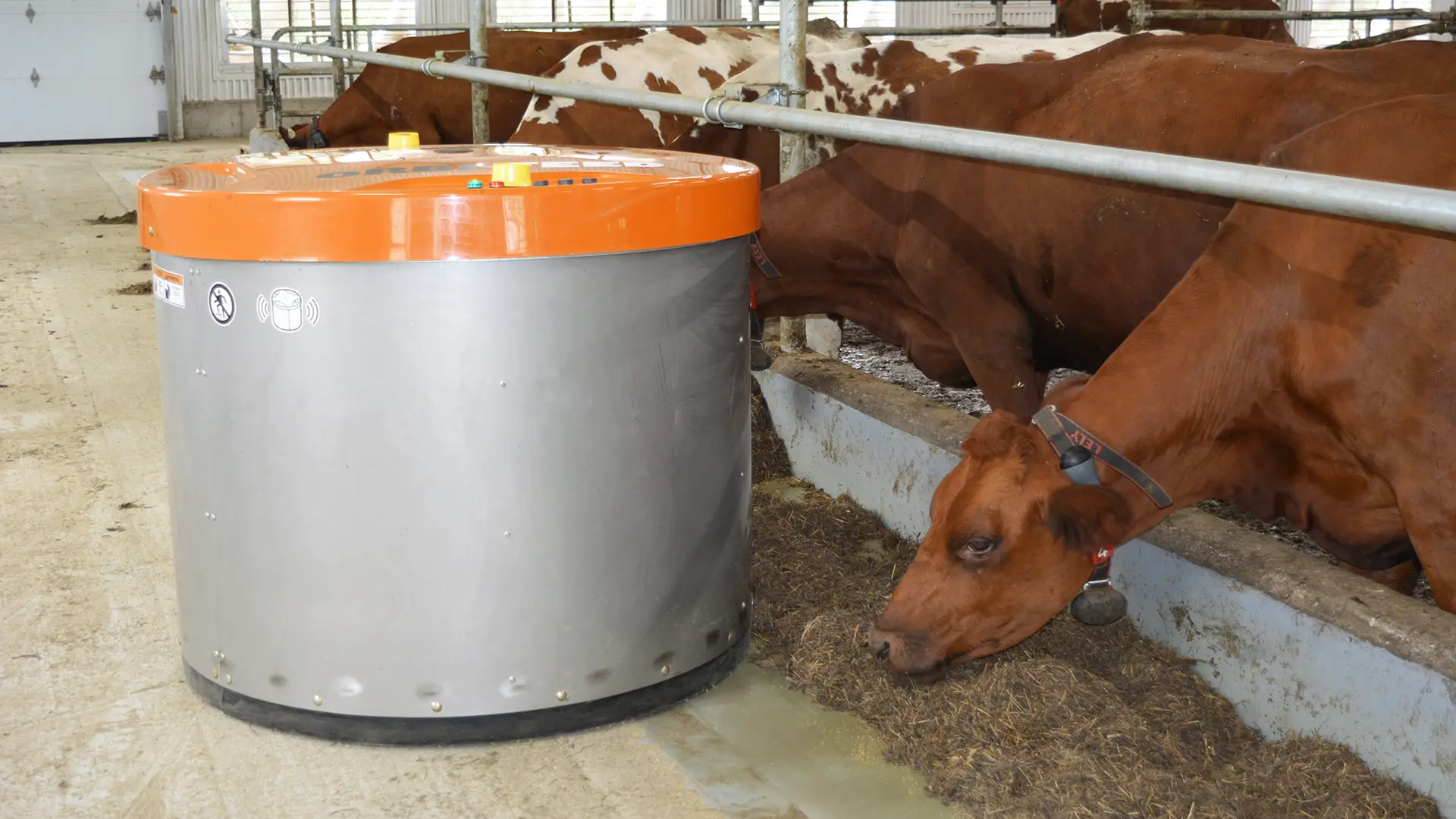 Rotary feed pusher